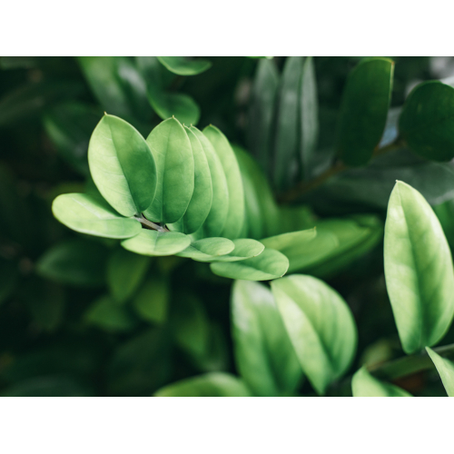 Kỳ nghỉ dưỡng tuyệt vời JM Boutique Hotel